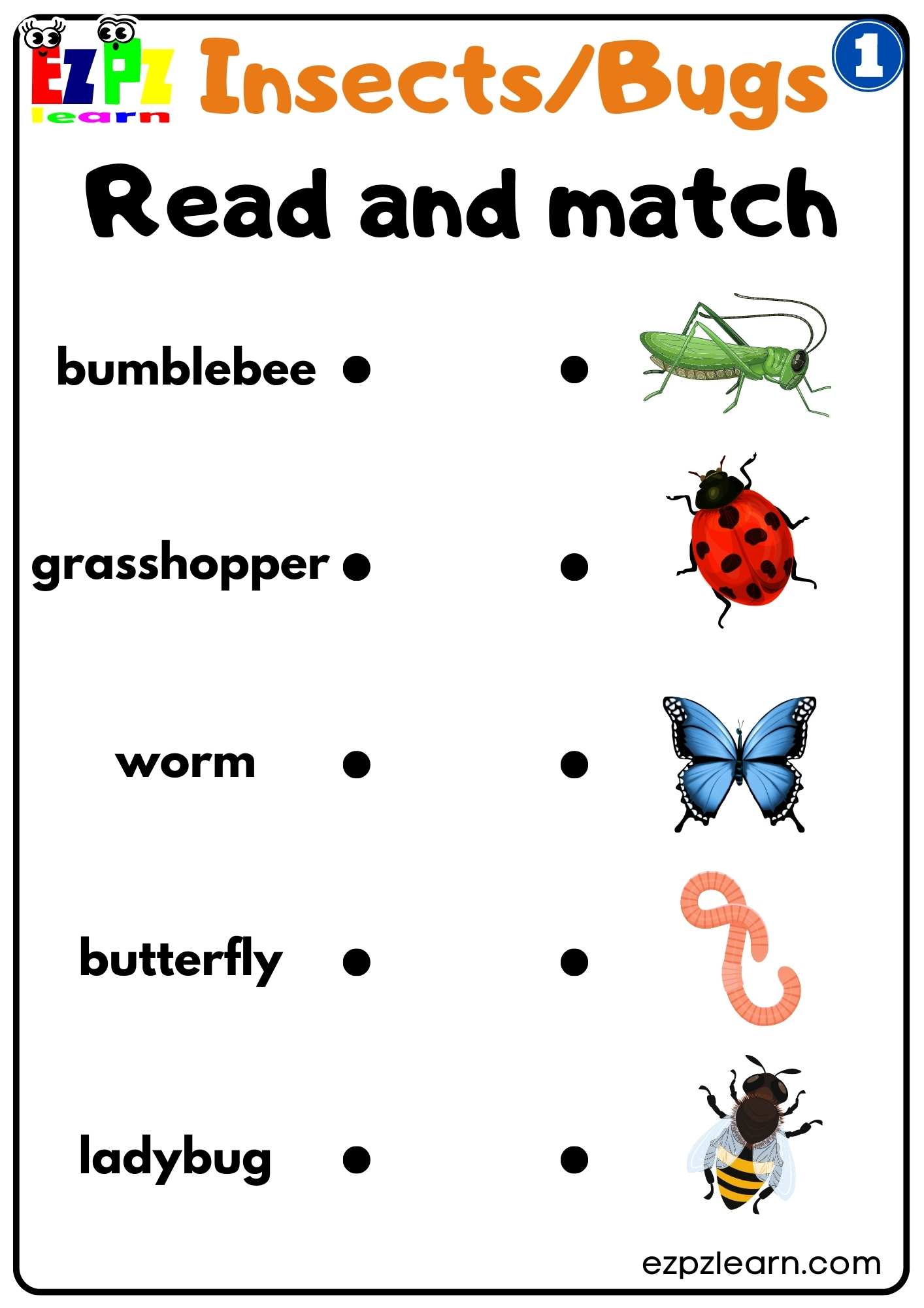 Group 1 Insects and Bugs Read and Match Worksheet Free PDF Download For Teachers and Parents